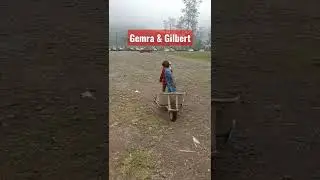 Gemra dan Gilbert #gemra #shorts #shortvideo
