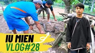 Iu Mien Thailand  EP28 | Catch a giant python near Iu Mien village