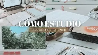 CÓMO ESTUDIO DERECHO EN LA UNED (PRIMER AÑO)