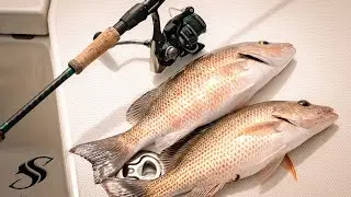 Skyway Fishing + Badfish Box Giveaway