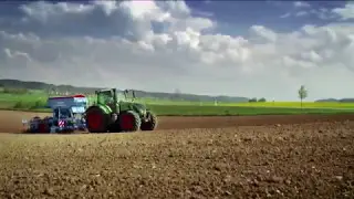 Série maïs N°5, les semences de maïs