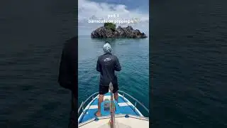 Part 1 barracuda on popping!!! #fishing #poppingfishing  #misool #wonderfulindonesia #shorts
