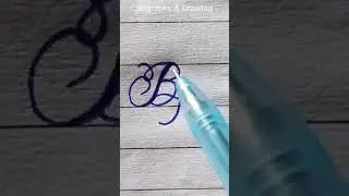 How to draw B Alphabet in Calligraphy Art with Pen #shorts #letters #pencildrawing #youtubeshorts