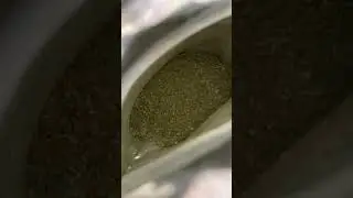 Green Tea | Loose Tea Leaves | Herbal Tea | 100% Natural Tea