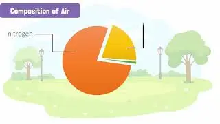 Importance of Air