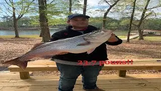 Lake Eufaula Bass Fishing | 23.7 Pound Striper | 4/02/19