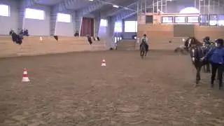 First games training Nikita, Mark Devitt Clinic