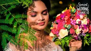 Wedding Highlight |Jobin-Naicy| From Crystalline Studio