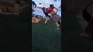 man kicked by horse😂 #horse #animalshorts #viral