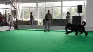 DSCN2967