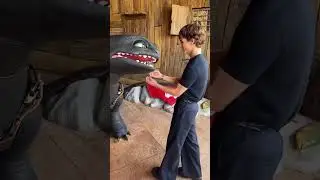 Toothless at Universal Epic Universe #HowToTrainYourDragon