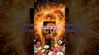 Мстить это тоже самое что кусать в ответ собаку #mind #love #shortvideo #shorts