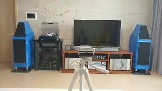 Wilson Audio Sasha #1