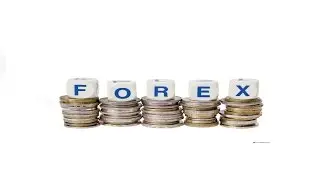 $ 100 without investment earnings on forex without attachments