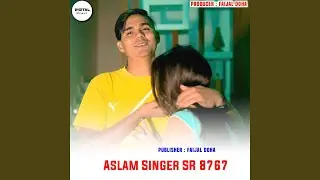 Aslam Singer SR 8767