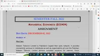 ECO404 Assignment Solution 2022-vu