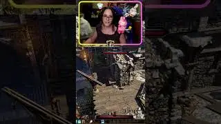 Этот план скрытного проникновения безупречен | Divinity Original Sin 2