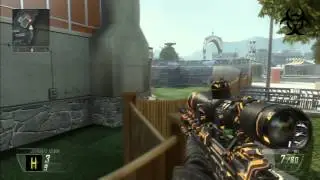 Aqua 1v1