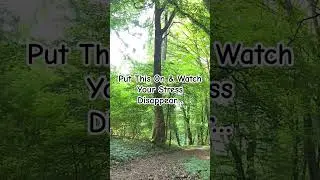 This Forest Sound Will Instantly Relax You. #whitenoise #forestwhispers #asmr #birdsong #notalking
