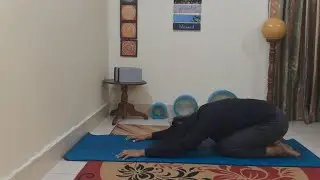 Stiff Back? Back Pain Relief in 10 Minutes| Easy Yoga Routine| Beginner Friendly| Gentle & Effective