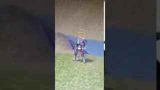 Metin2 18 lvl havası Perfect