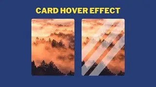 CSS Card with hover animation |  HTML & CSS