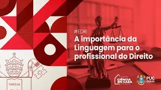 A importância da Linguagem para o profissional do Direito