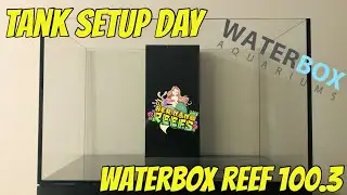 День настройки аквариума! Waterbox Reef 100.3