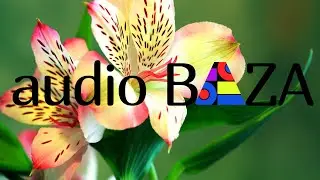 audio BAZA |Traditional feat.Per Kihlborg  - The Happy Farmer| погружаемся в мечты | classical music