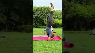 #yoga #youtubeshorts #love #quotes #motivation #travel #healthylifestyle #happy #youtube