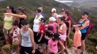 Mt Camel Harlem Shake