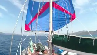 Spinnaker Sailing