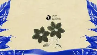 Push Presents Retro-Active - A Sense Of Ecstacy [Analytic Trail]