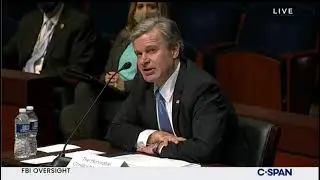 Rep Massie asks FBI director about the NICS system discriminating against black and Hispanic males