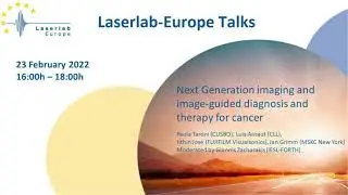LLE Talks: Time domain multiwavelength diffuse optics in breast cancer management