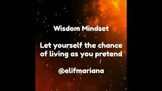 Wealthy Mindset - Trump Card