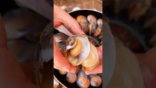 FRESH CAT'S EYE SNAIL #asmr #food