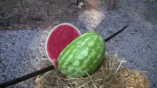 Легкая кавалерийская сабля 1860 года