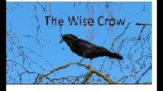 The wise crow-Thirsty crow story in English-Moral stories for kids