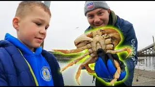 Приключение отца и сына на ловле крабов Dungeness: поймайте, приготовьте и насладитесь вкуснейшим...