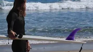 Malibu Surfing Surfrider on a midlength 7'0 Greenough single fin