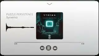 Synema - Puzzle Persistence