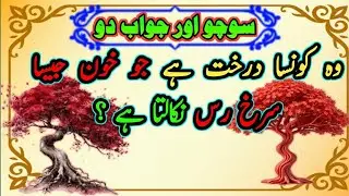 Amazing facts gk questions || world general knowledge in urdu || gk important questions with answers