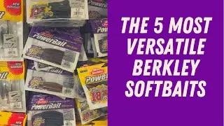 My 5 Most Versatile Berkley Softbaits