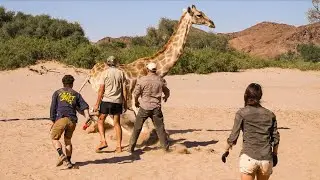 Namibia Conservation Webinar | Jason Nott - Wilderness Travel