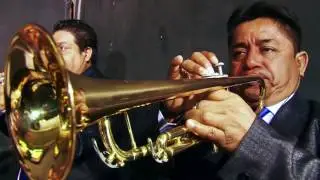 ME DESTROZASTE EL ALMA  - LA UNICA TROPICAL ( EN VIVO - 2016 )
