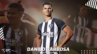Danilo Barbosa  - Botafogo - Highlights
