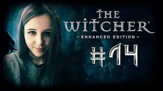 The Witcher | Hard | #14 | Новая глава