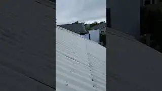Ace Plumbing & Roofing  - Roofing Auckland
