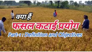 @SimplyBatao : फसल कटाई प्रयोग/Crop Cutting Experiment #cropcutting #patwari #revenue 